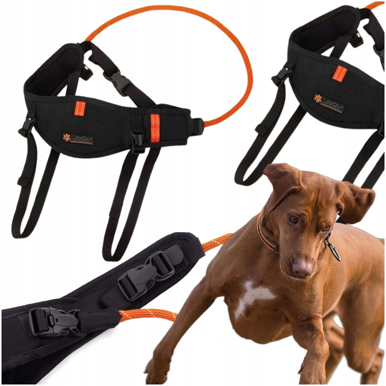 Pas Do Biegania Z Psem Joqu Canicross Belt Plus Czarny L/XL