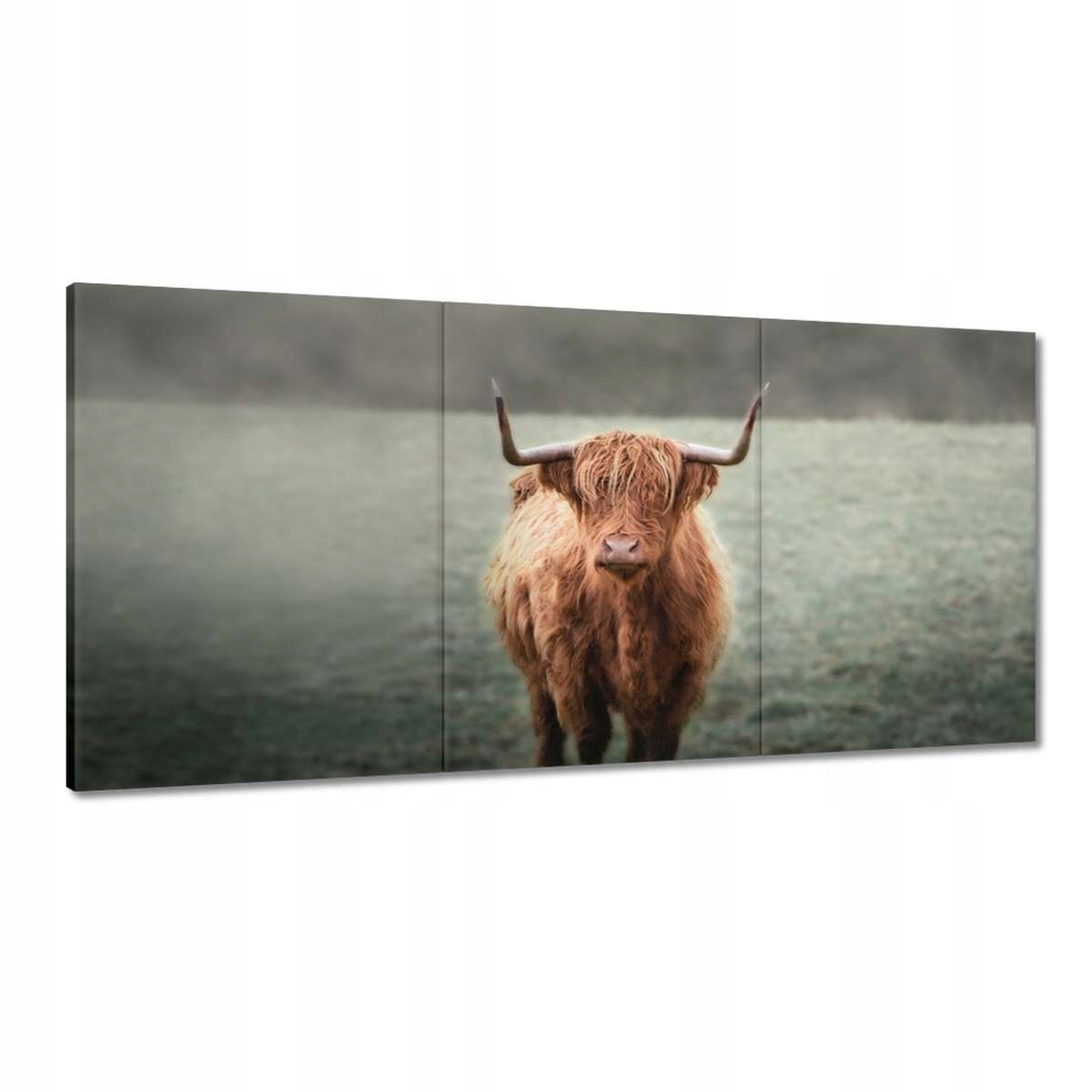 Obrazy 180x90 Ako s rohmi Horská lúka