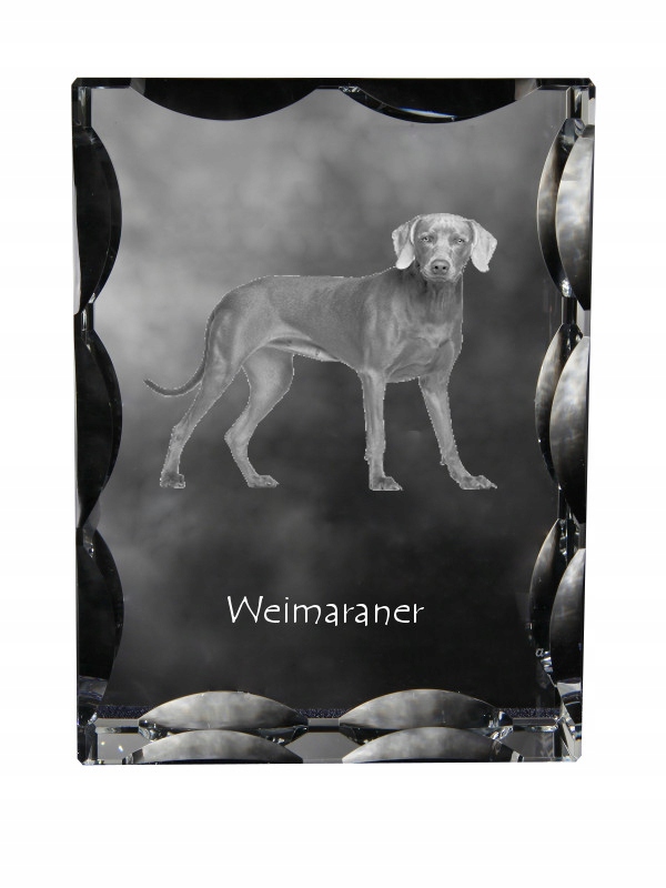 Weimarský výrez fotografia psa v ozdobnom kryštáli, suvenír, dekorácia domu