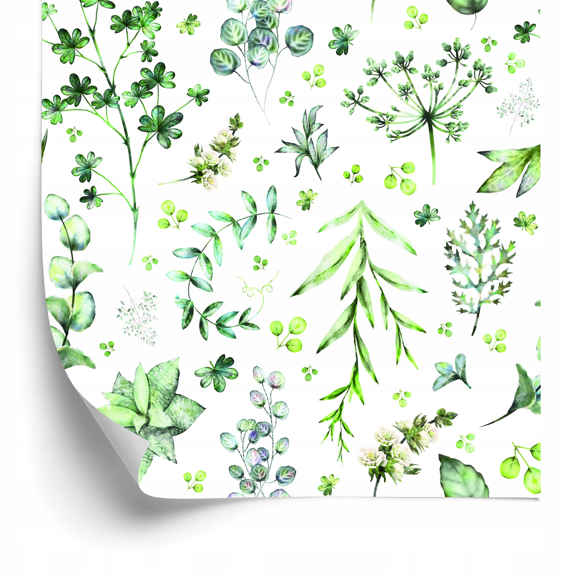 Tapeta Listy A Poľné Kvety 50x1000 cm