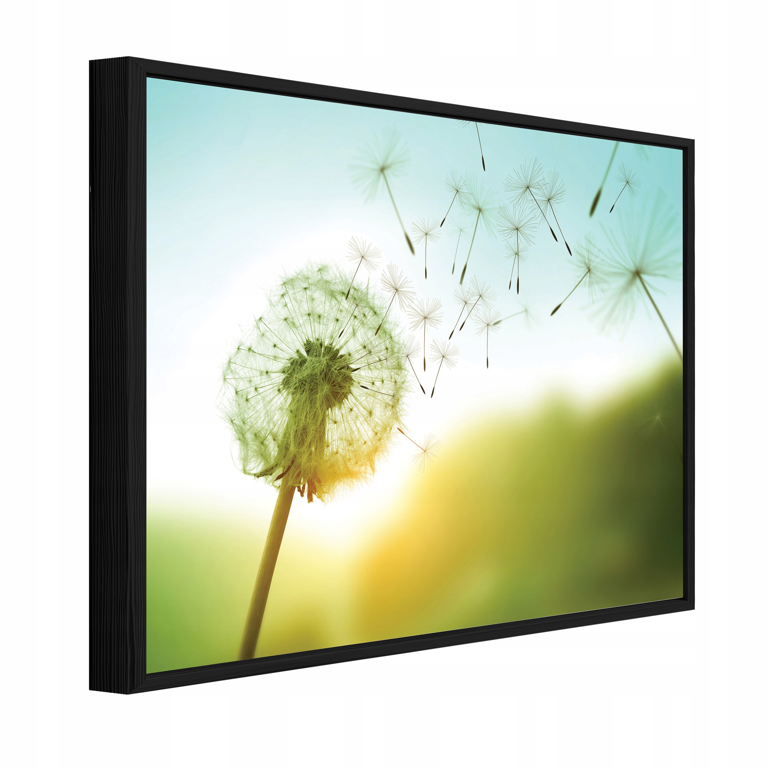 Obraz V Černém Rámu Na Plátně S Foukačem Květiny Obývací Pokoj Ložnice 120x80