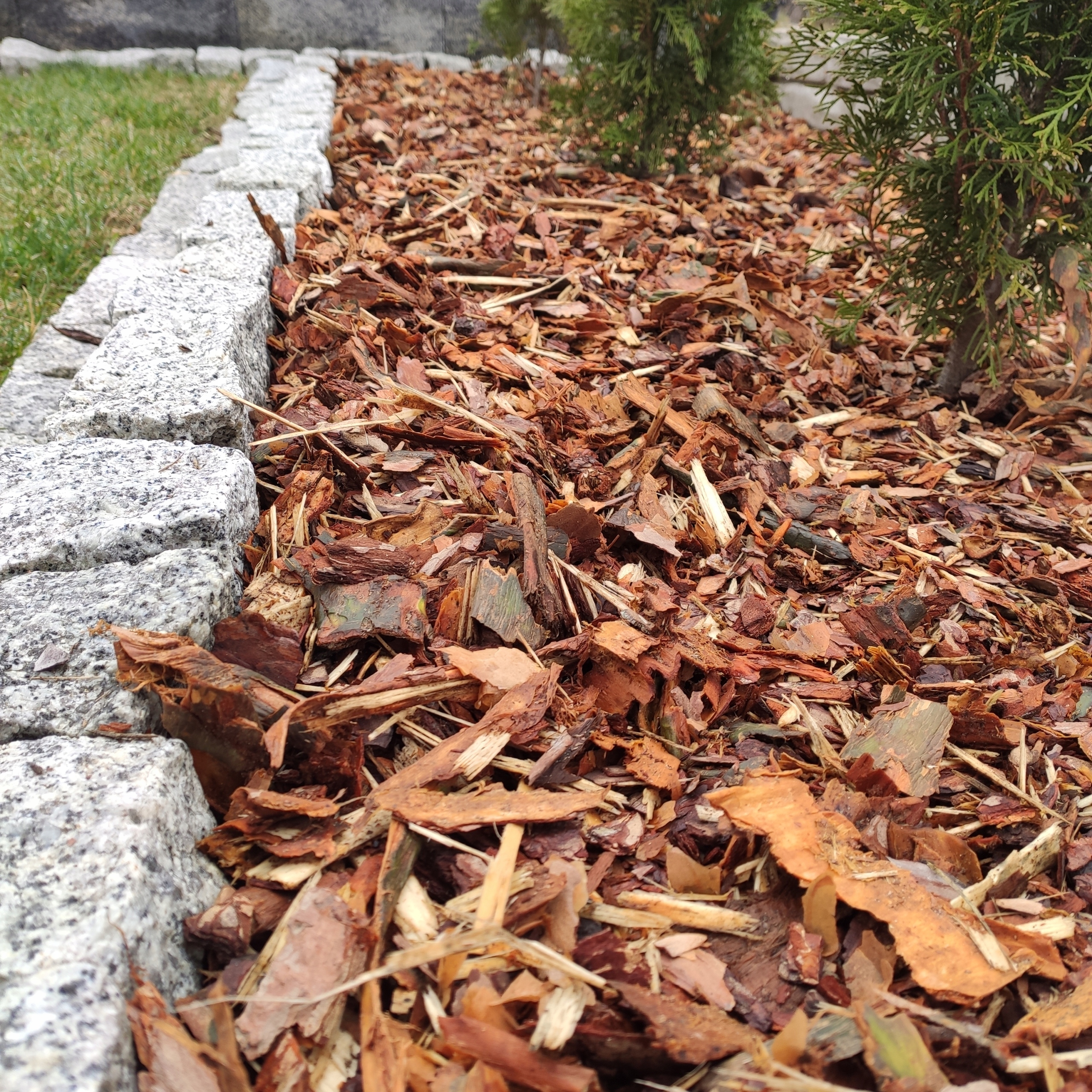 KORA SOSNOWA OGRODOWA WOREK 80L