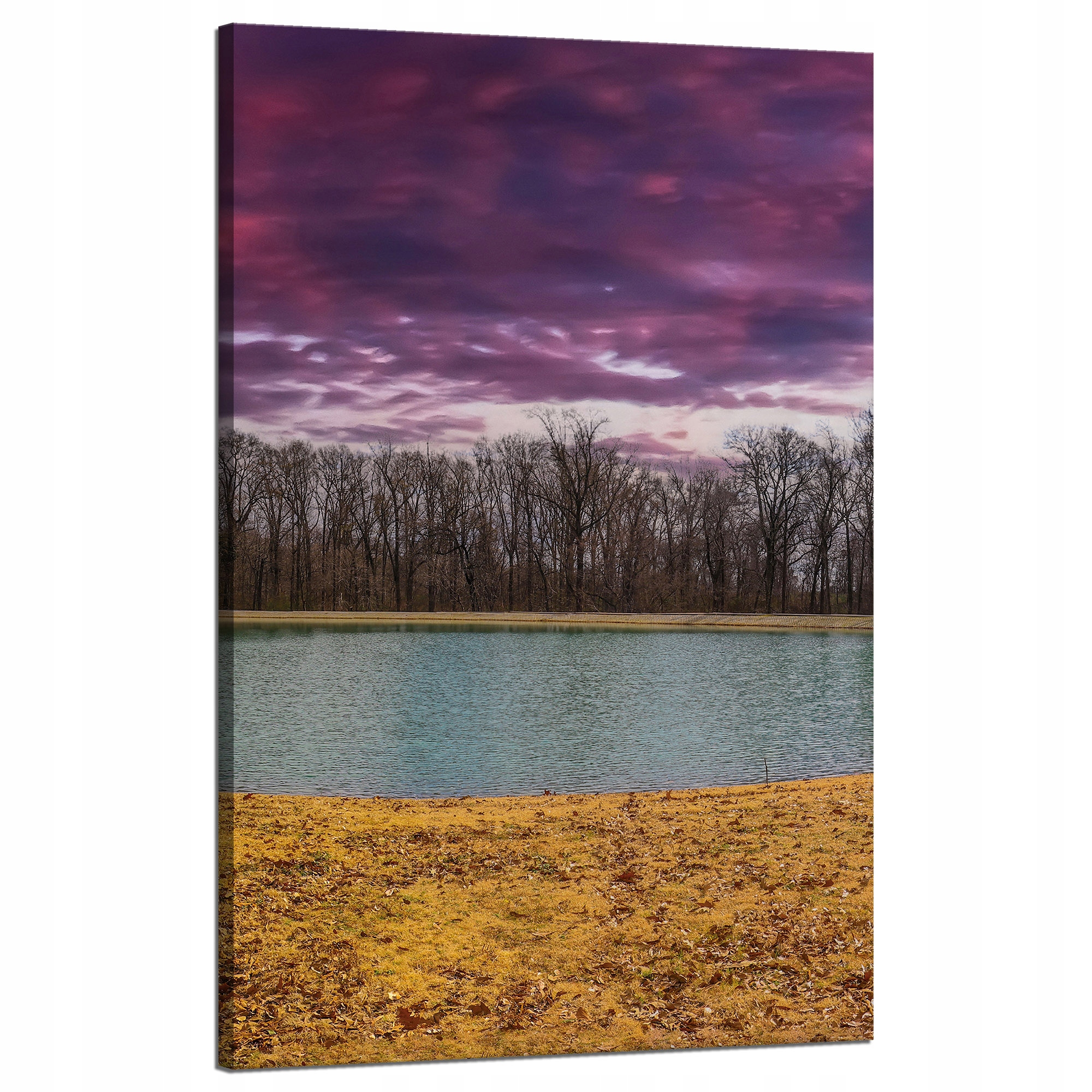 Obraz na plátně Fialové nebe Rybník Stromy Podzim 50x80 cm