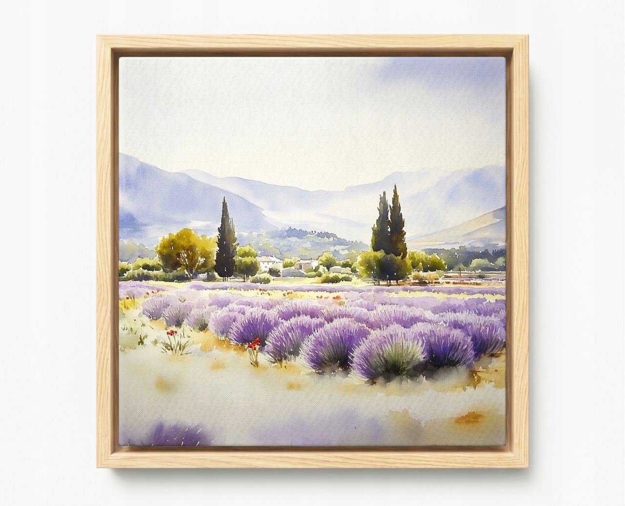 Obraz Rám Americký Box Krajina Francie Provence Hory Pole Květiny 80x80