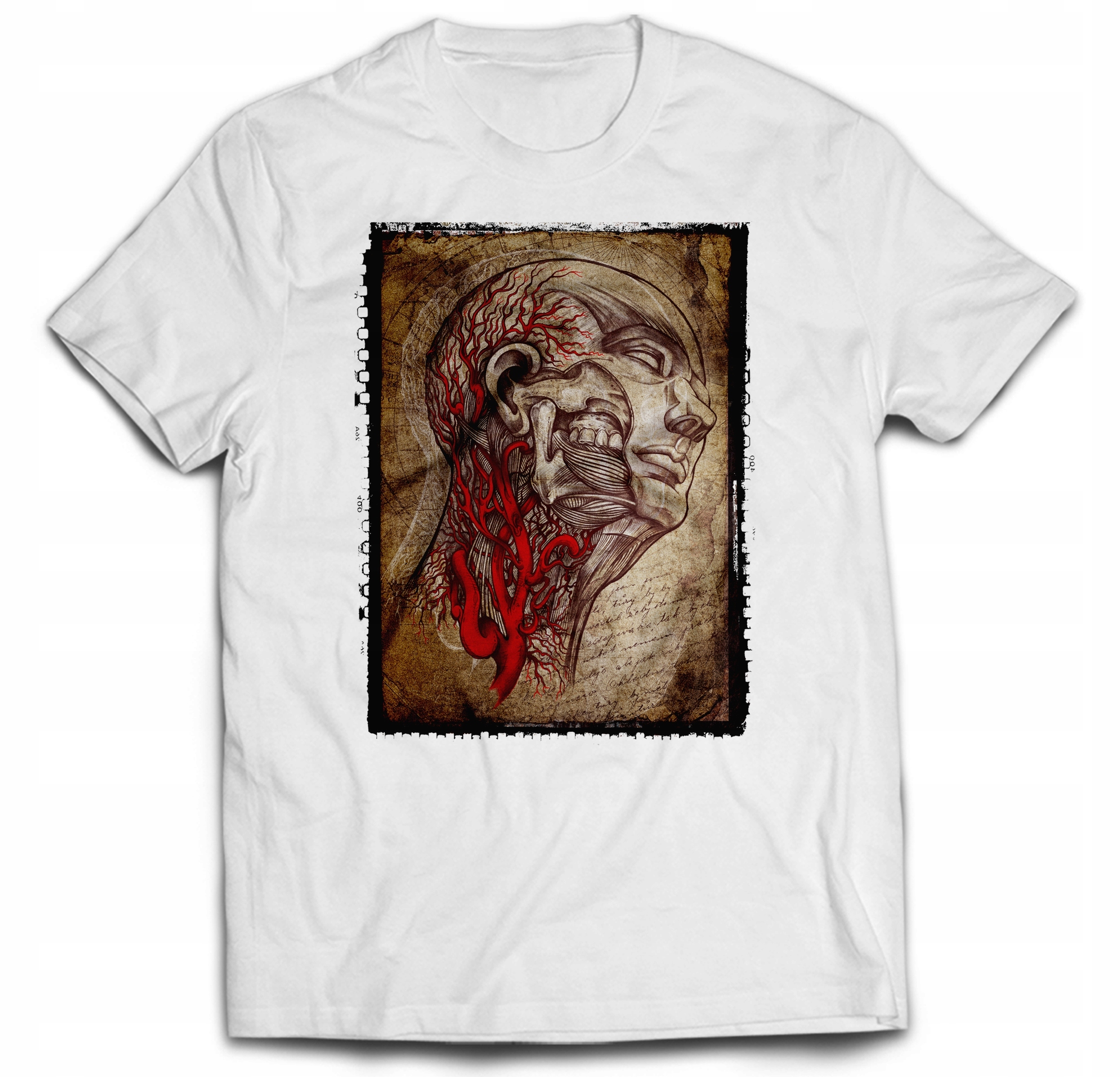 

Dla Studenta Medycyny Przekrój Głowa 11/12 Lat