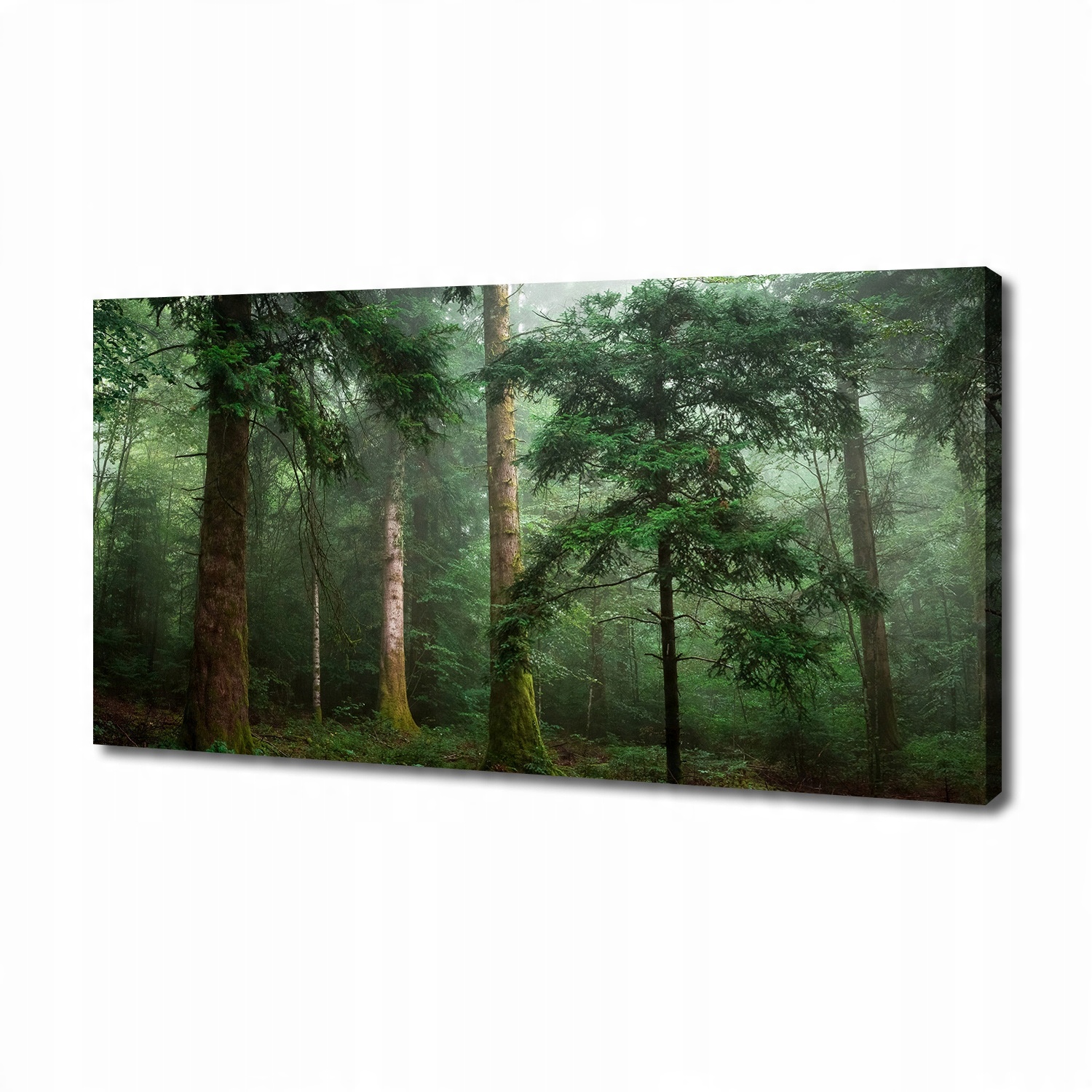 

Foto obraz duży na płótnie Mgła w lesie 140x70 cm