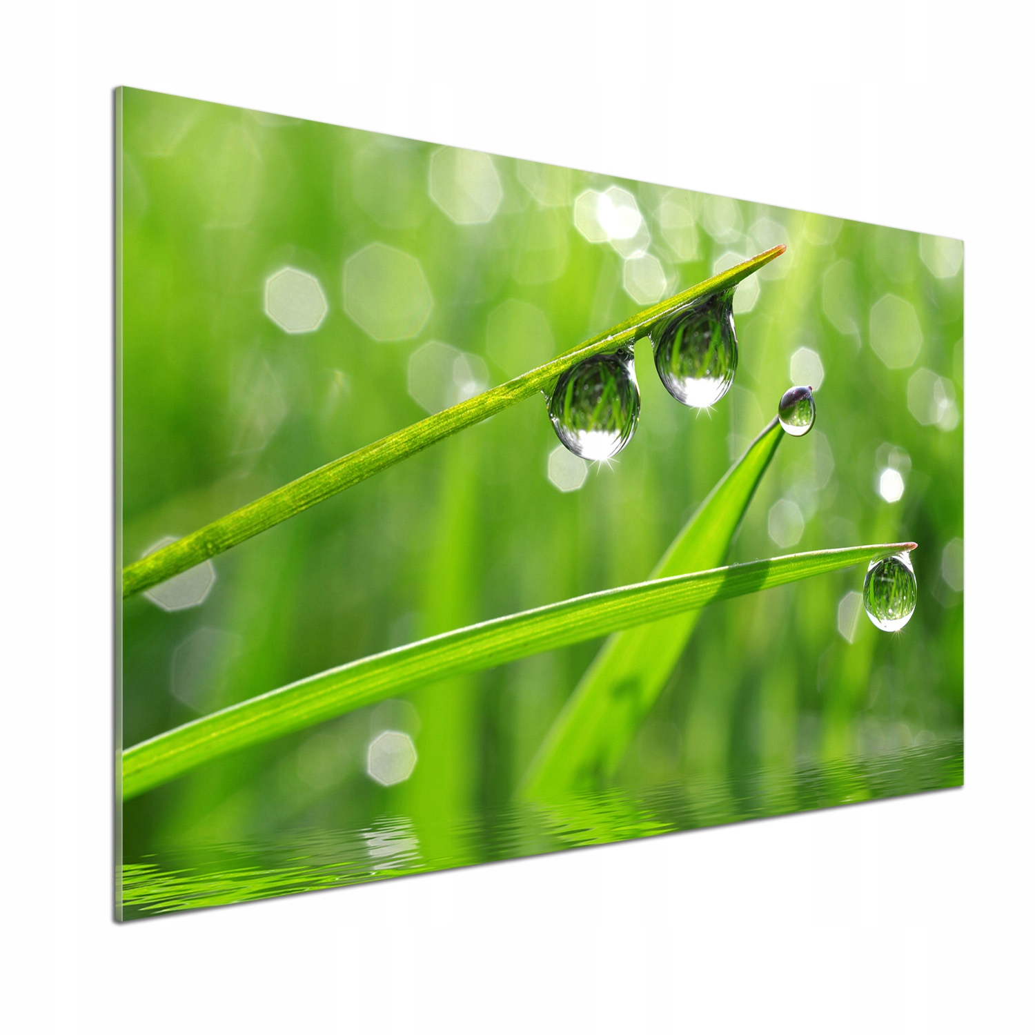 Panel do kuchyne Kvapky na tráve 100 x 70 cm Lepidlo