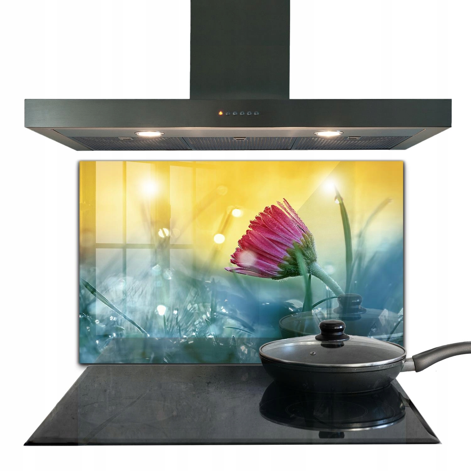 Nástenný panel Jemná sedmokráska na lúke 100x70