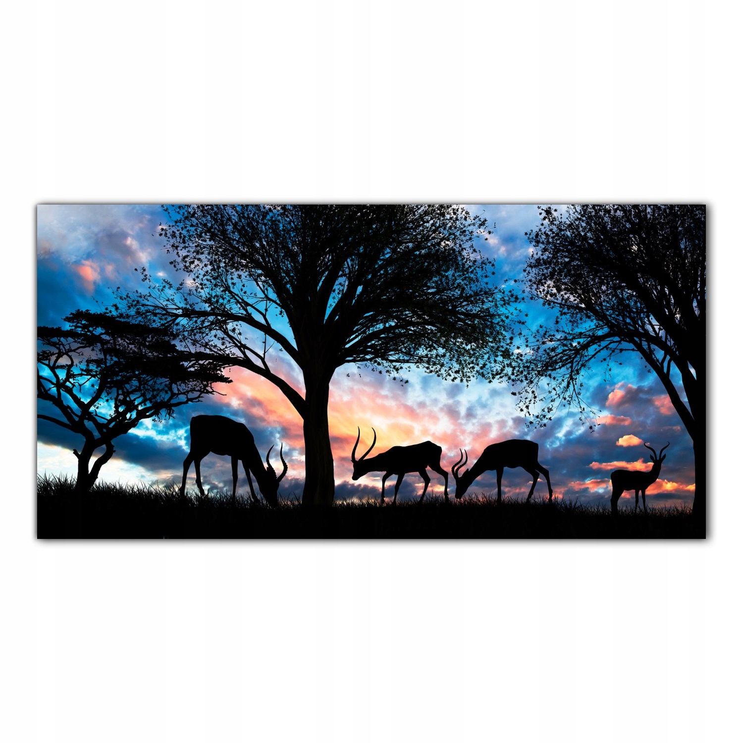 

Obraz na szkle Foto Zwierzęta Safari Natura 120x60