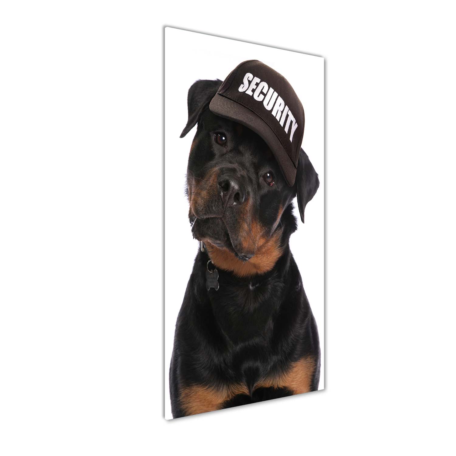 

Foto obraz akrylowy Rottweiler w czapce 50x125cm