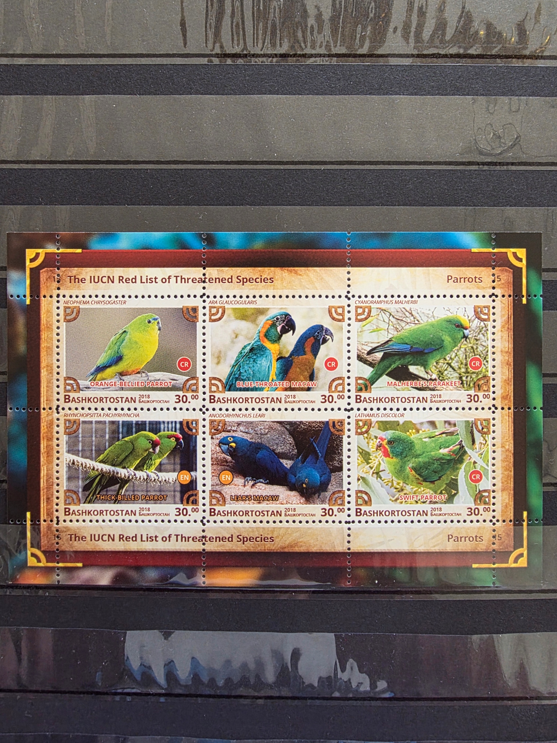 Znaczki Fauna Ptaki Papugi czysty. /P20