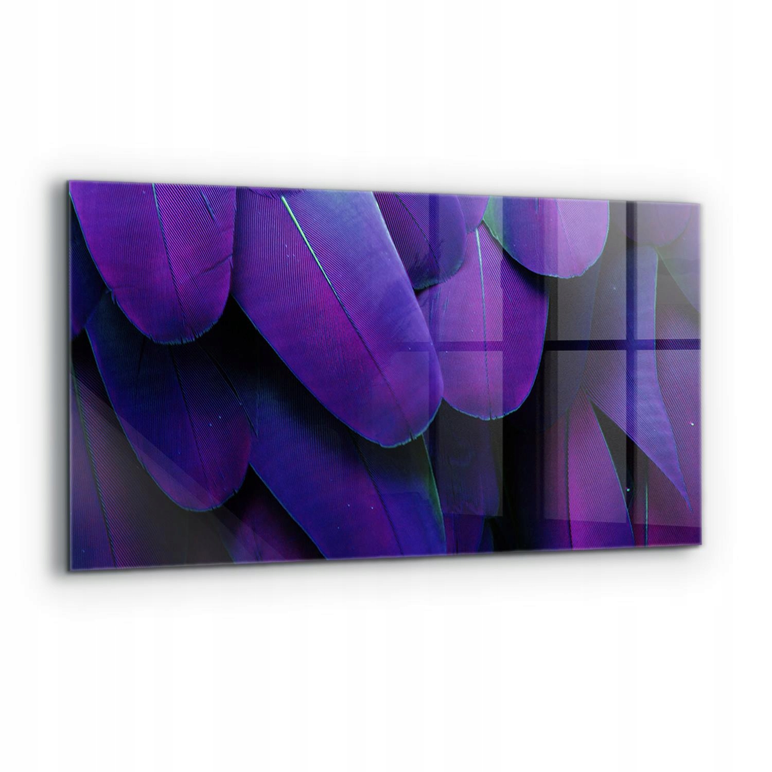 Nástenný panel na perie exotického vtáka 120 x 60 cm