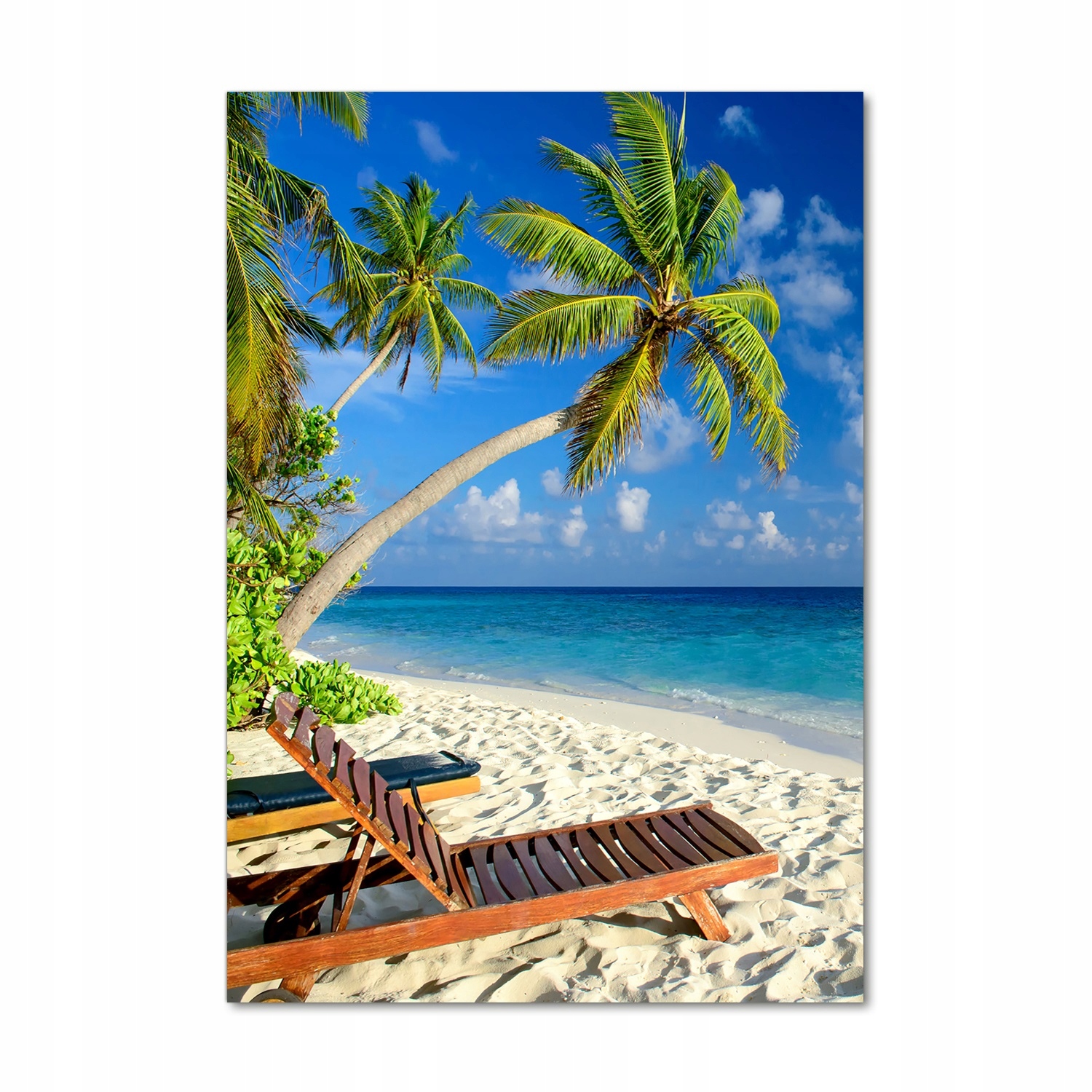 

Foto obraz szkło akrylowe Tropikalna plaża 70x100