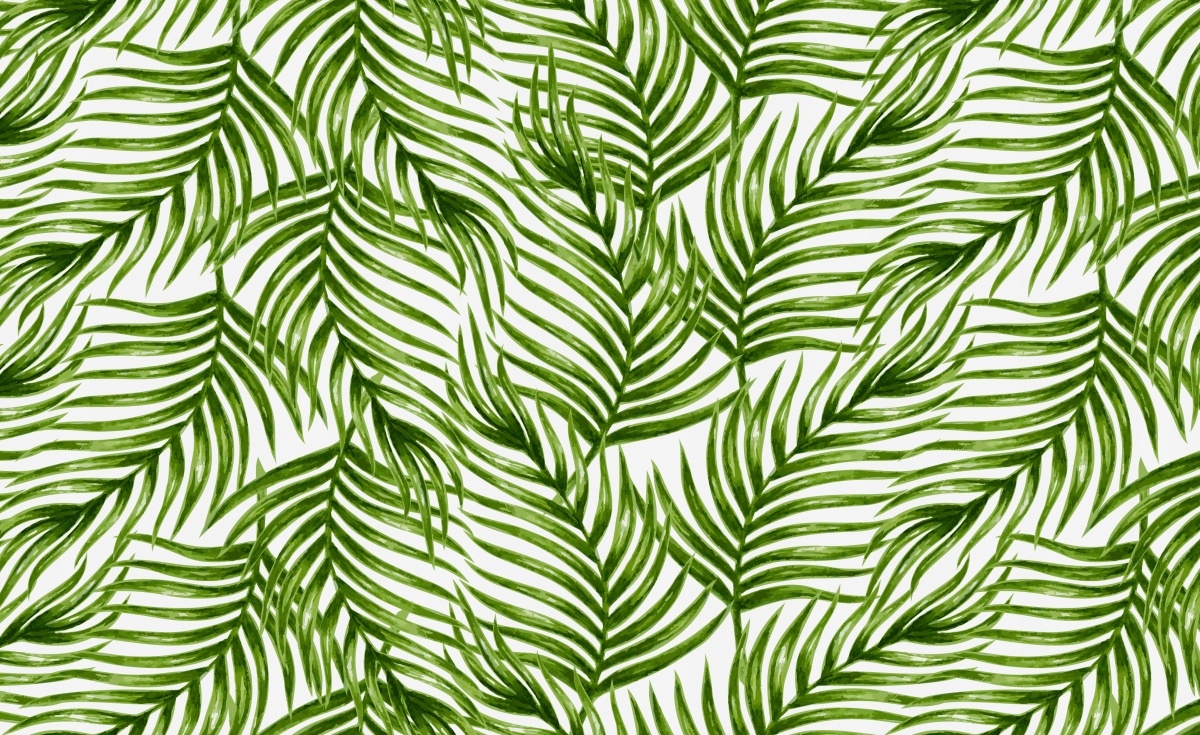 

Fototapeta Flizelina Liście palmowe 416x254