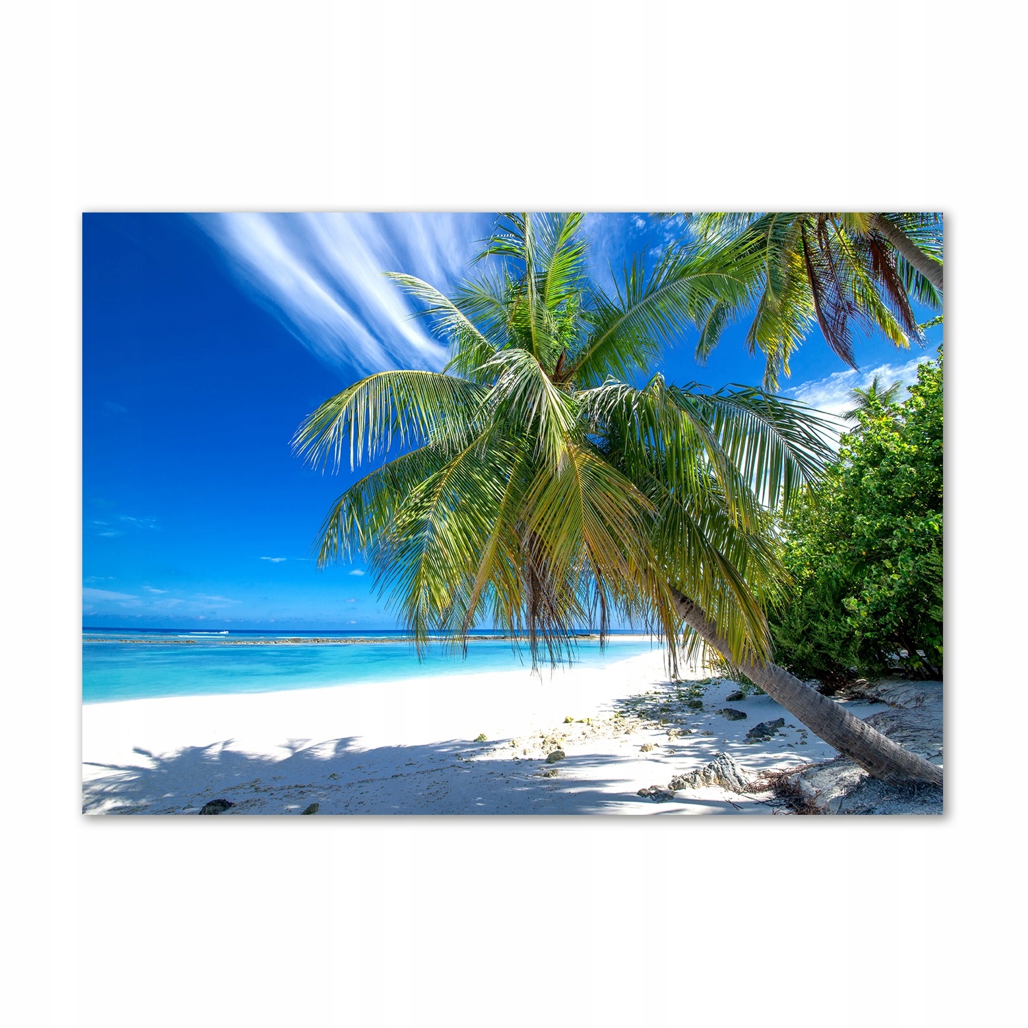

Foto obraz szklany Tropikalna plaża 100x70
