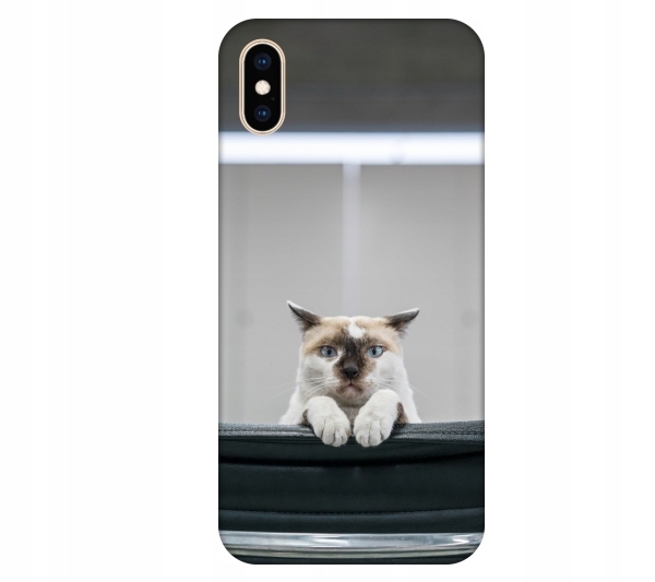 

Etui na telefon iPhone X / Xs Kot kotek smieszne z