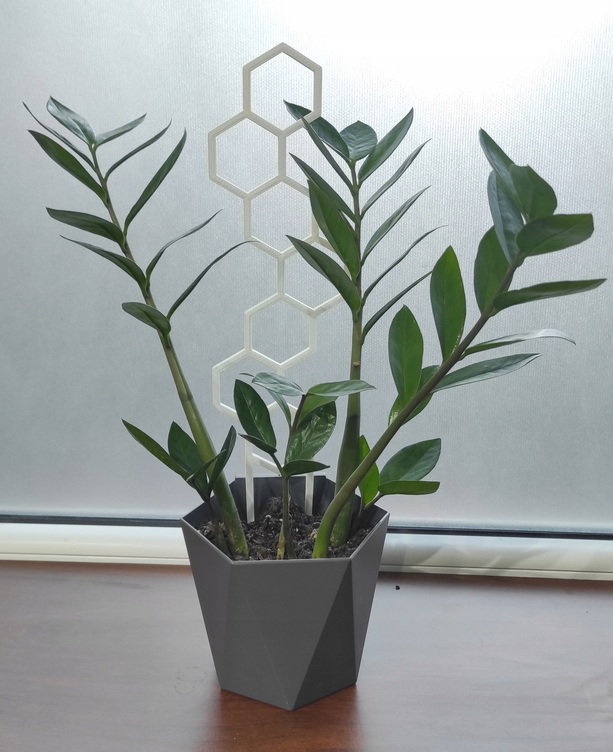 PODPÓRKA KWIATÓW ROŚLIN PERGOLA MIÓD 37cm Marka inna