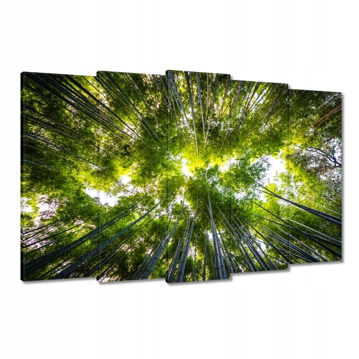 Obrazy 150x95 Bambusový tropický les