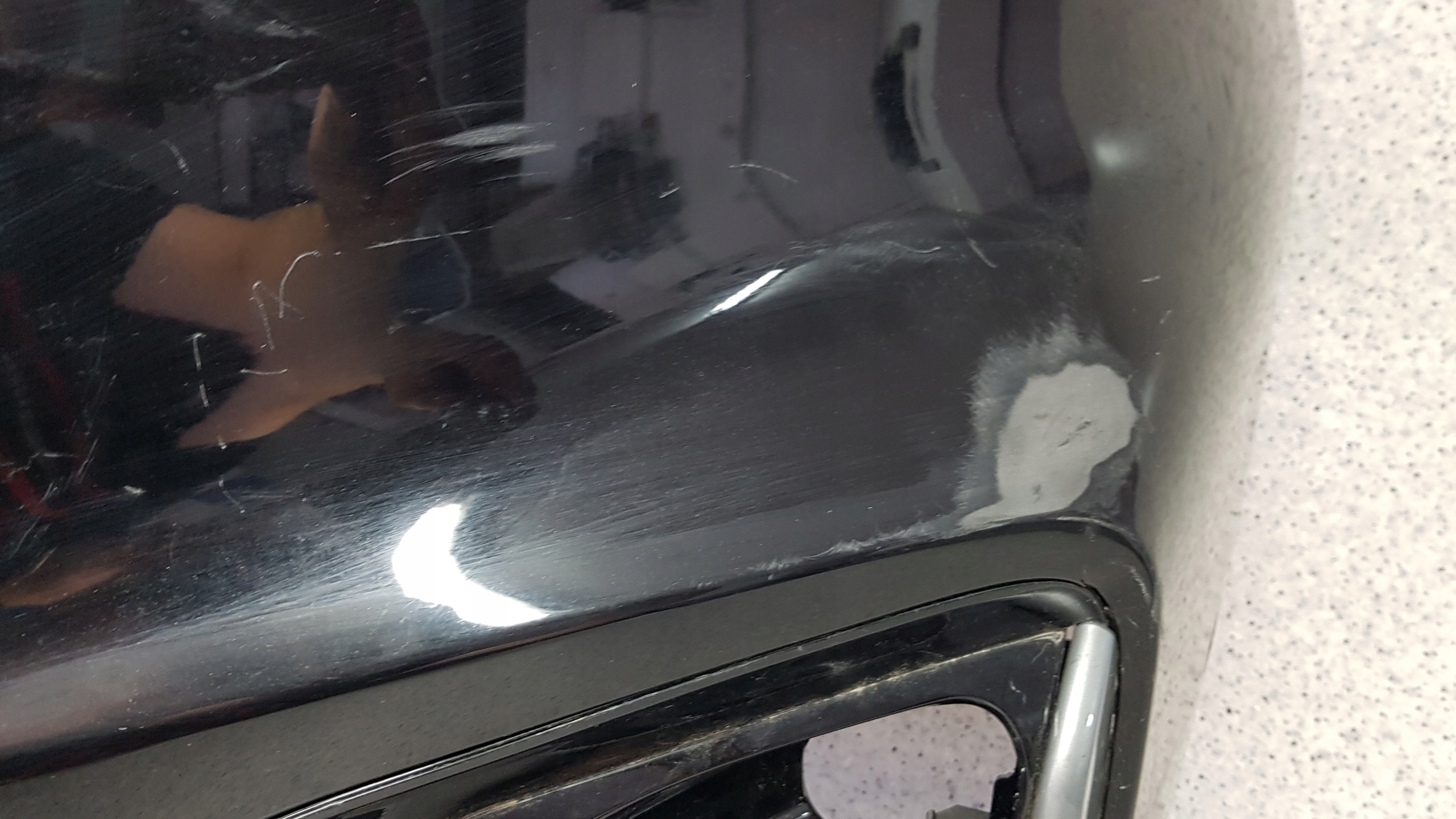 FORD KUGA MK3 ST-LINE ST 2020 - bumper front 9497