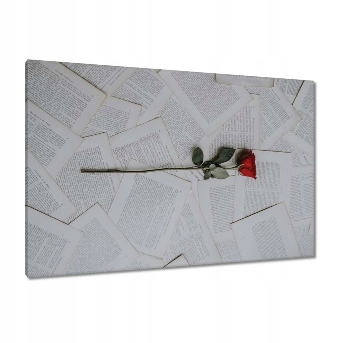 Obrazy 120x80 Červená růže na knize