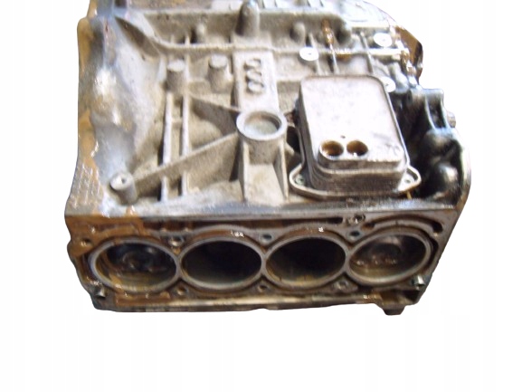VW GOLF V 5 1.6 FSI 03-09 SILNIK BLOK WAŁ TŁOKI BENZYNA BAG