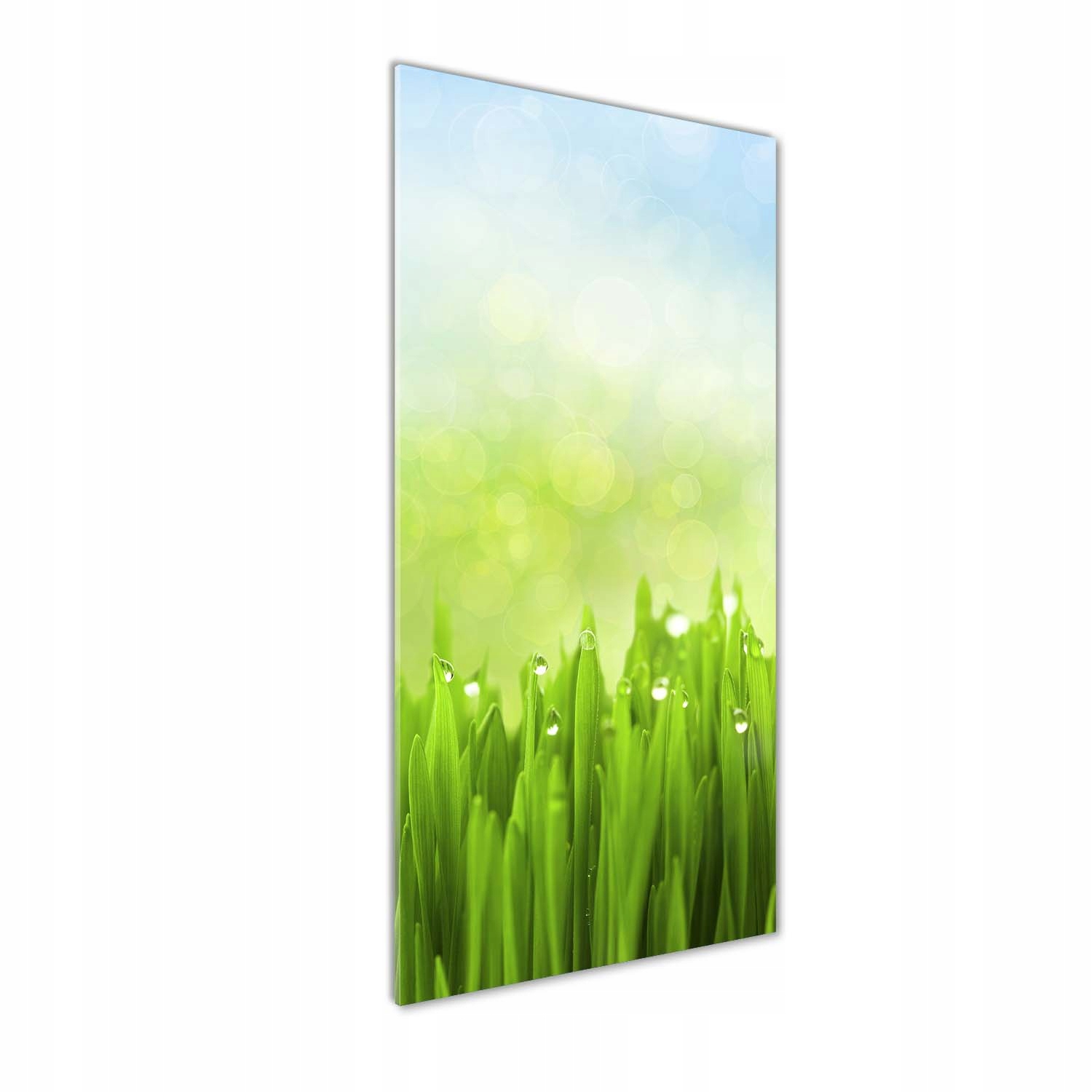 Moderní akrylový fotoobraz na zeď Tráva 50x125