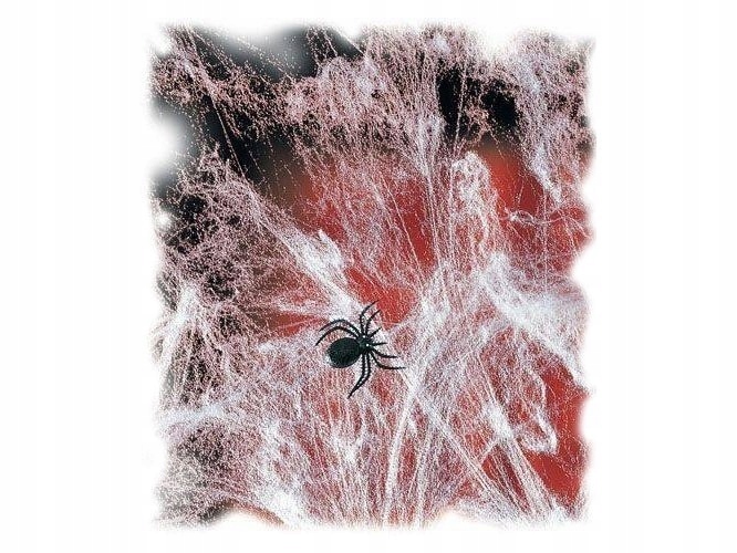 

Sieć pajęczyna z 12 pająkami Dekoracja Halloween
