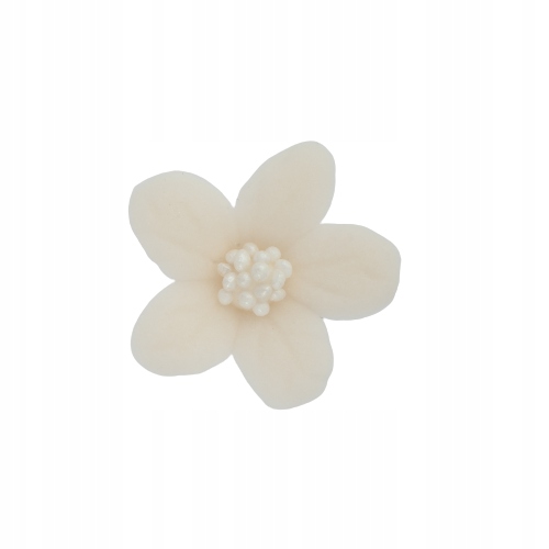 Jaśmin ecru 8 x 10 szt.