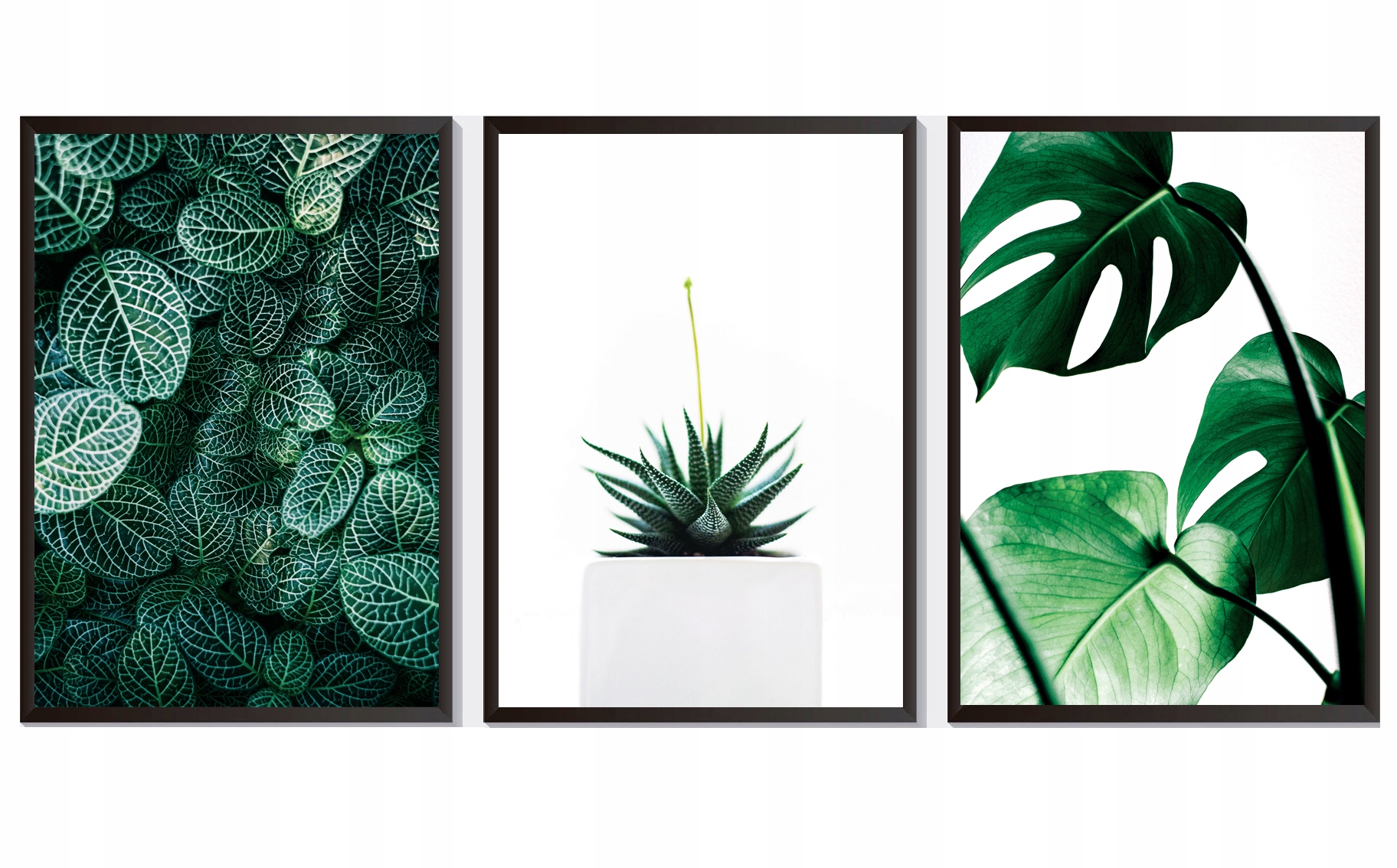 OBRAZY PLAKATY ZESTAW 3 SZTUKI A3 30,00 x 40,00 cm ROŚLINY LIŚCIE