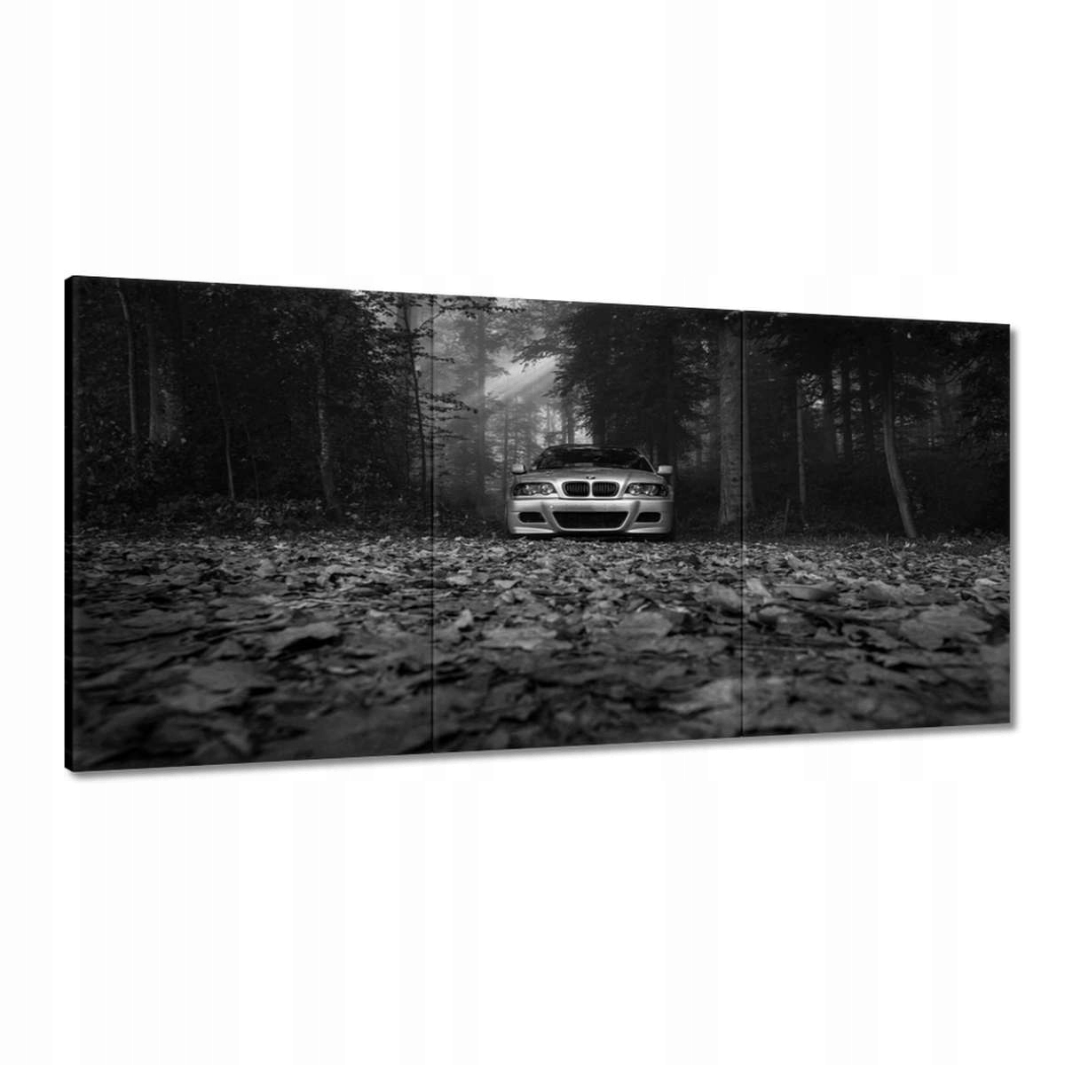 Obrazy 180x90 Bmw auto Buma BeMkA