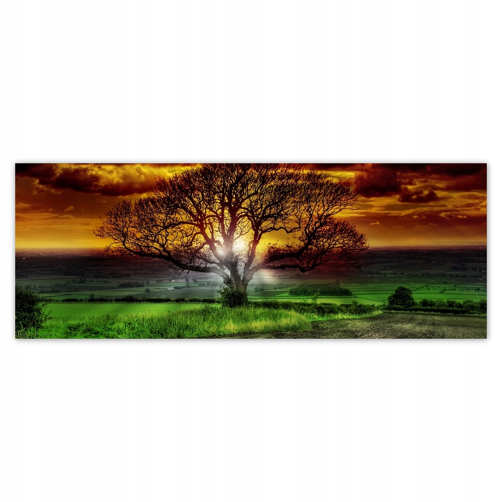 

Fototapety flizelina 250x93 Magiczne drzewo