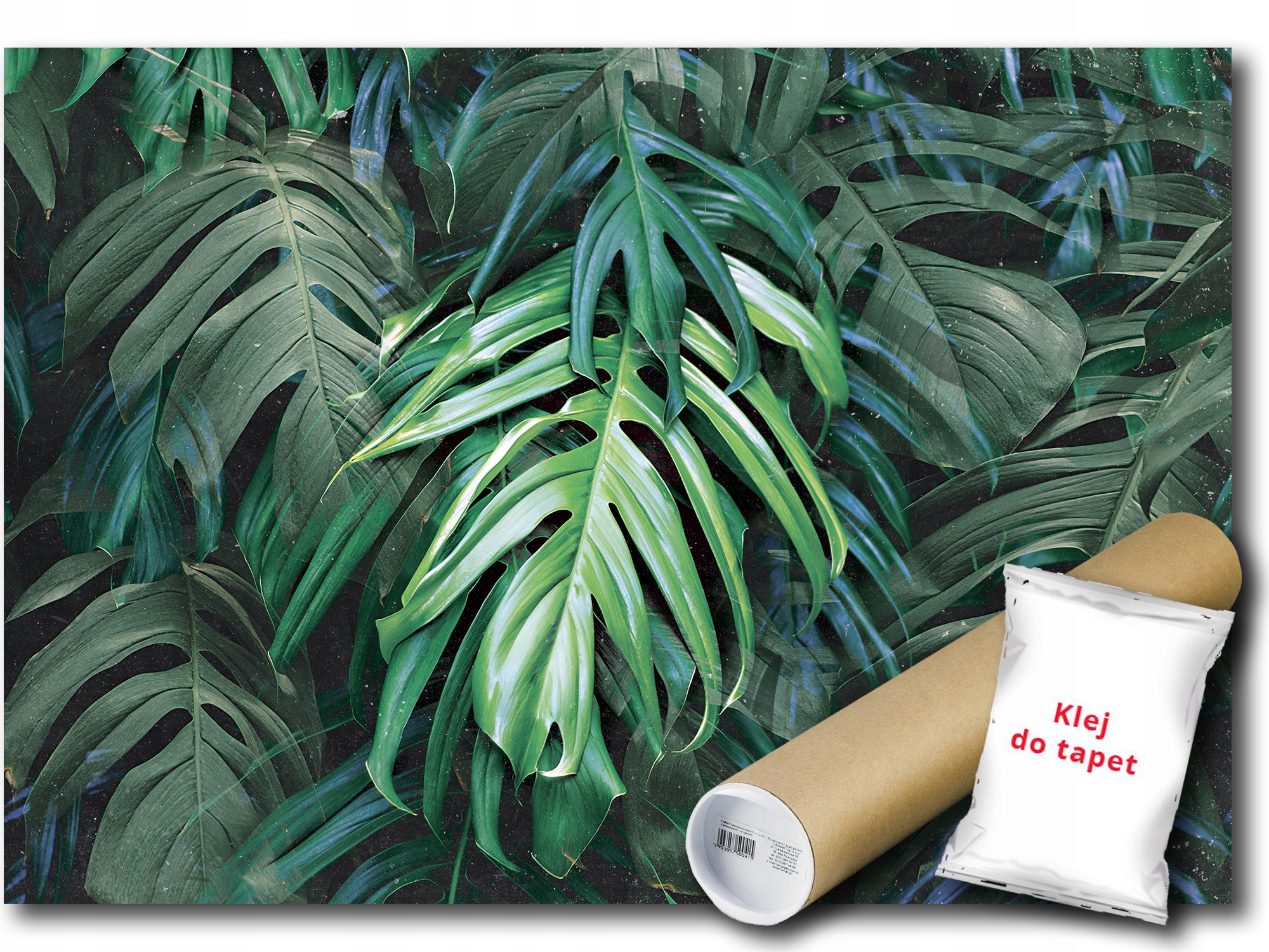 Vinylová Fototapeta Listy Monstera 152x104