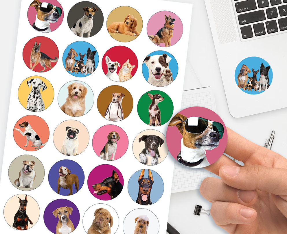 ZESTAW NAKLEJKI + TATUAŻE DLA DZIECI DZIECIĘCE PSY PIESKI JAKOŚĆ Marka inny