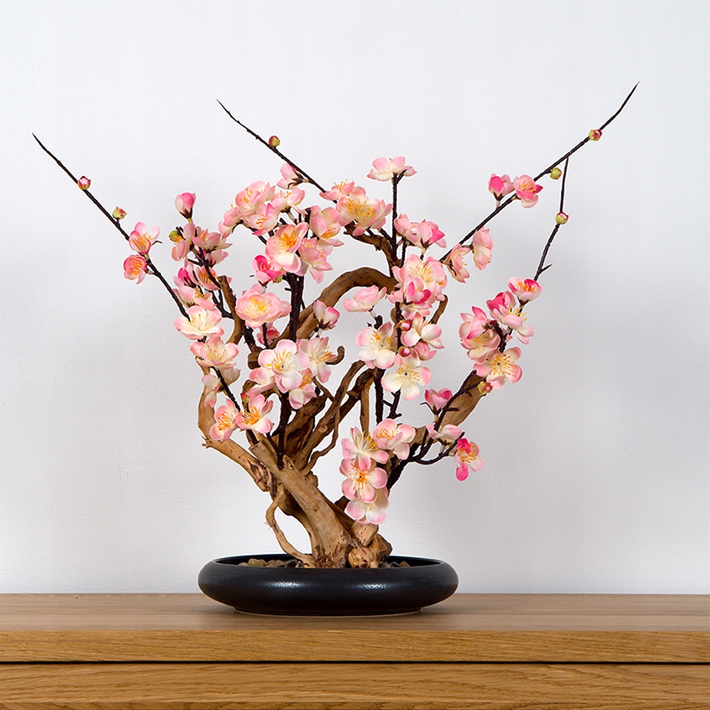 Pokojová dekorativní bonsai White plum (PN-39)