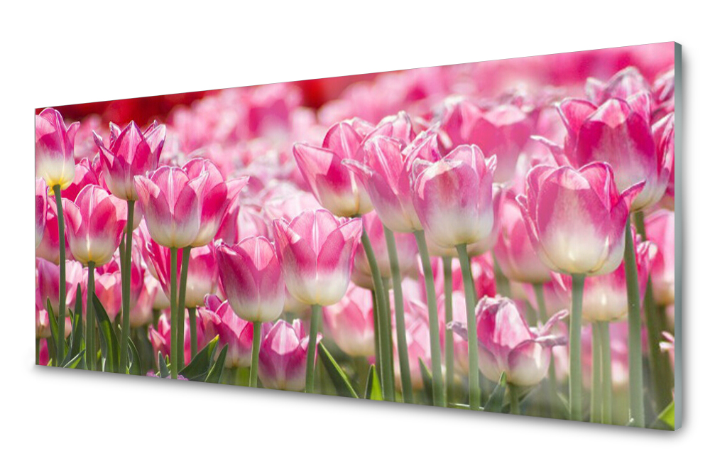 Sklenený panel do kuchyne Tulipány Kvety 125x50