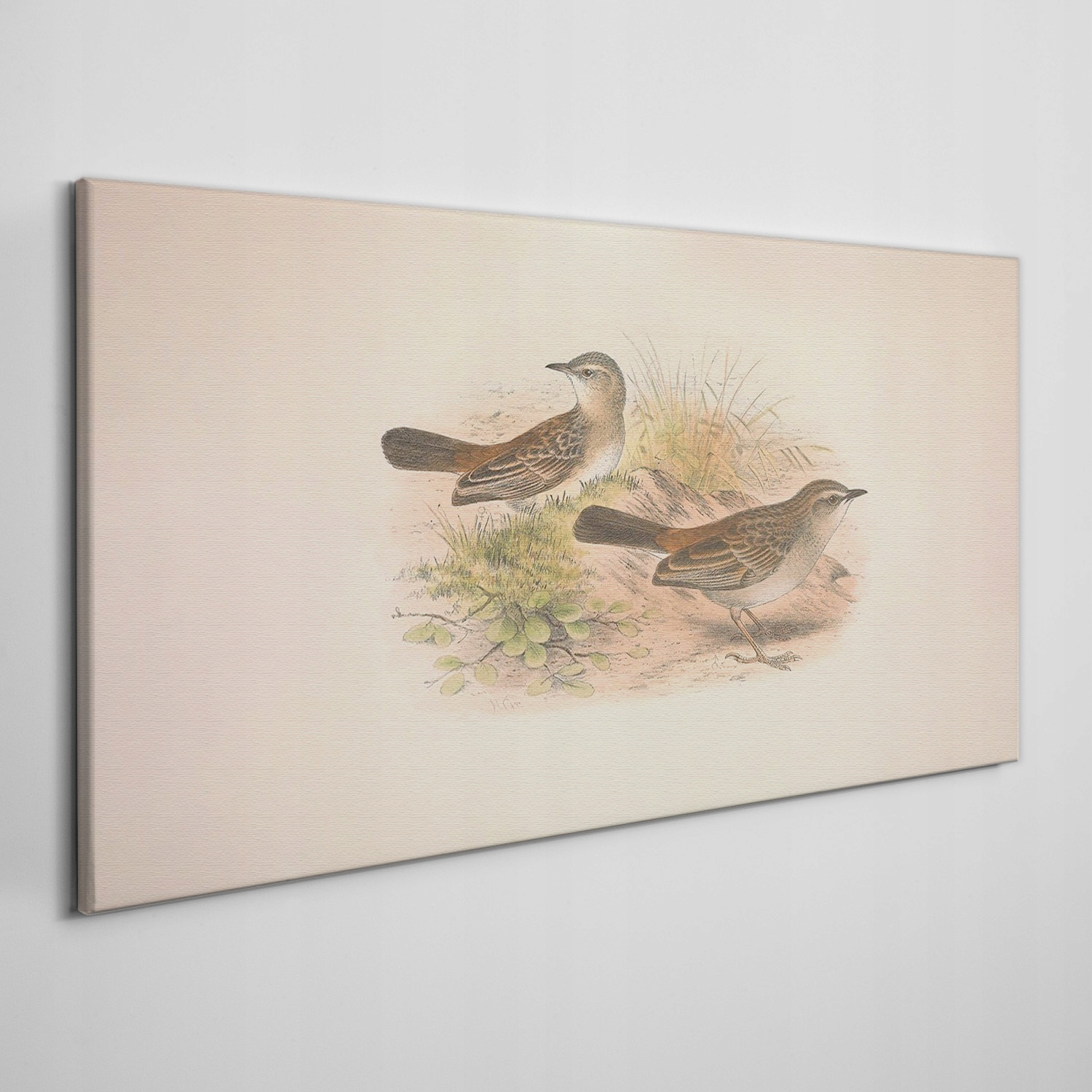 

Obraz na płótnie Ptaki zwierzęta beżowy 120x60 cm