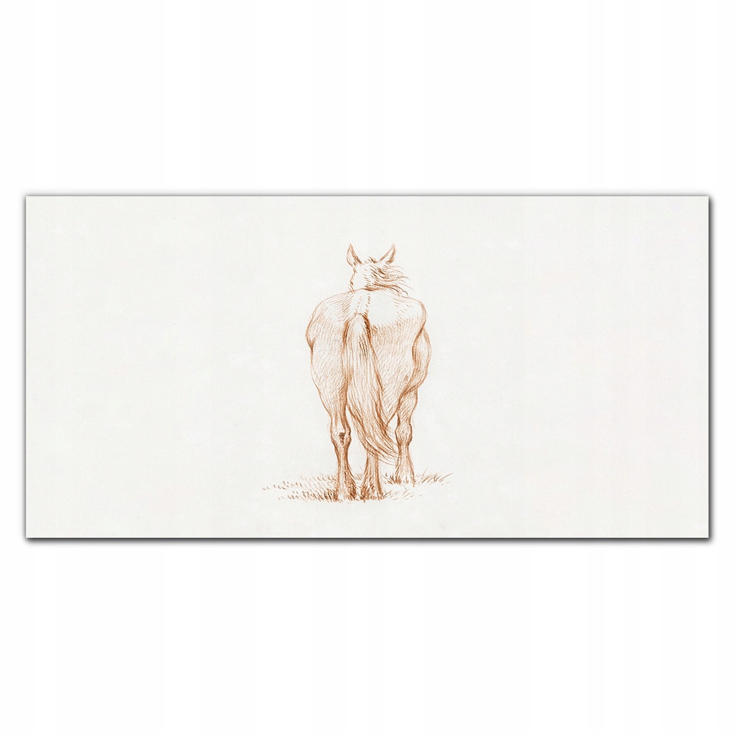 Obraz na plátne na ráme Zviera kôň 140x70 cm