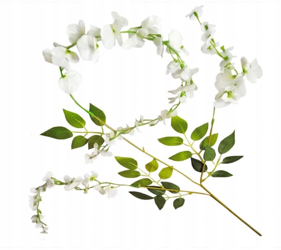 

Glicynia Wisteria Złotokap Girlanda 110 cm XXL