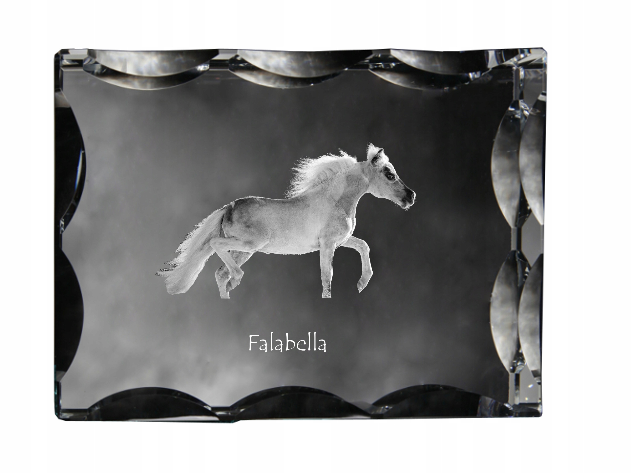 Kôň Falabella fotografia v ozdobnom kryštáli, suvenír, dekorácia domu