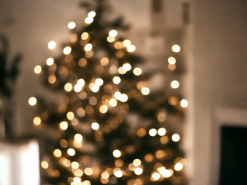 Lampki choinkowe LED 100 8 programów dodatkowe gniazdo biały ciepły Kod producenta 235503W