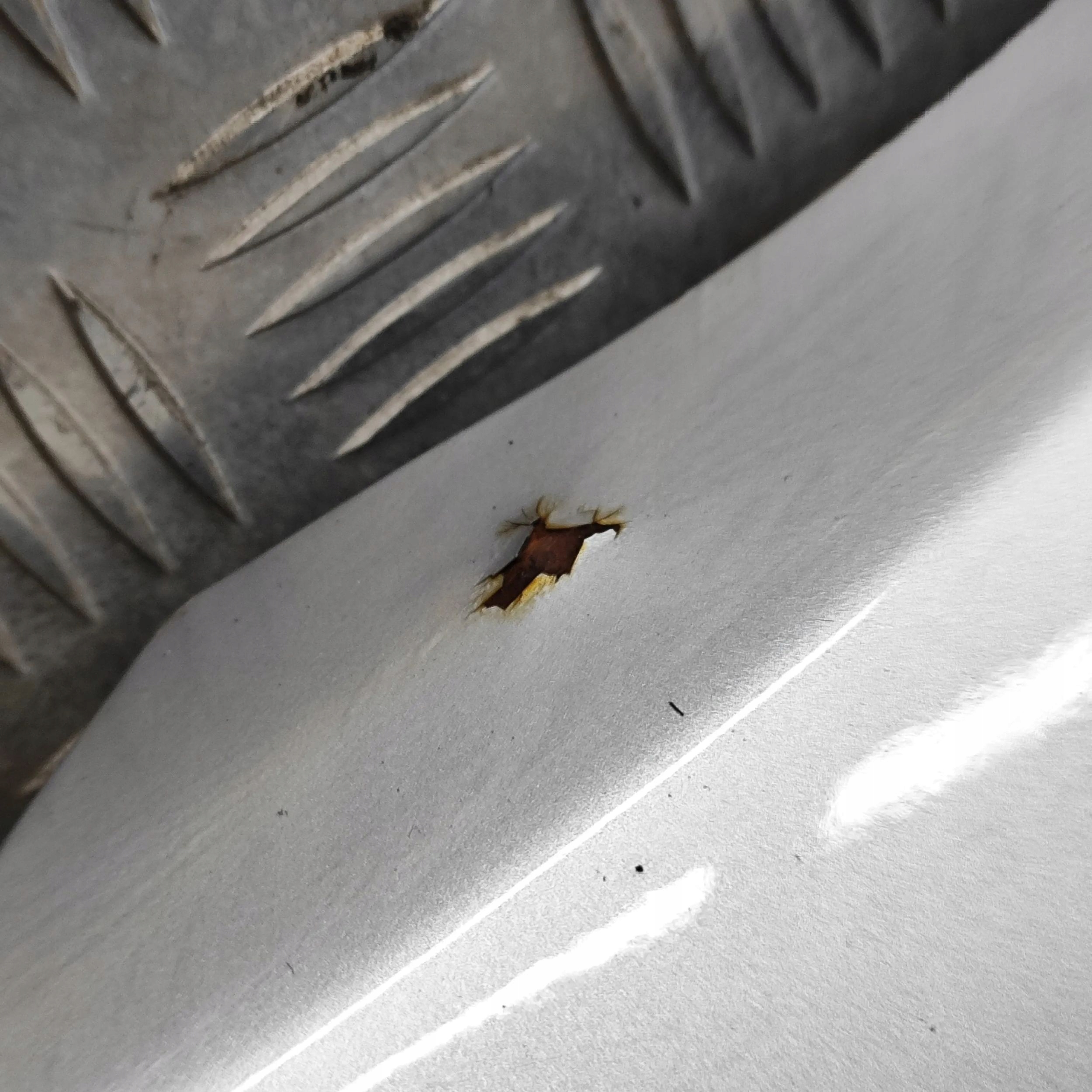 2968445045b480a2de96945d679b