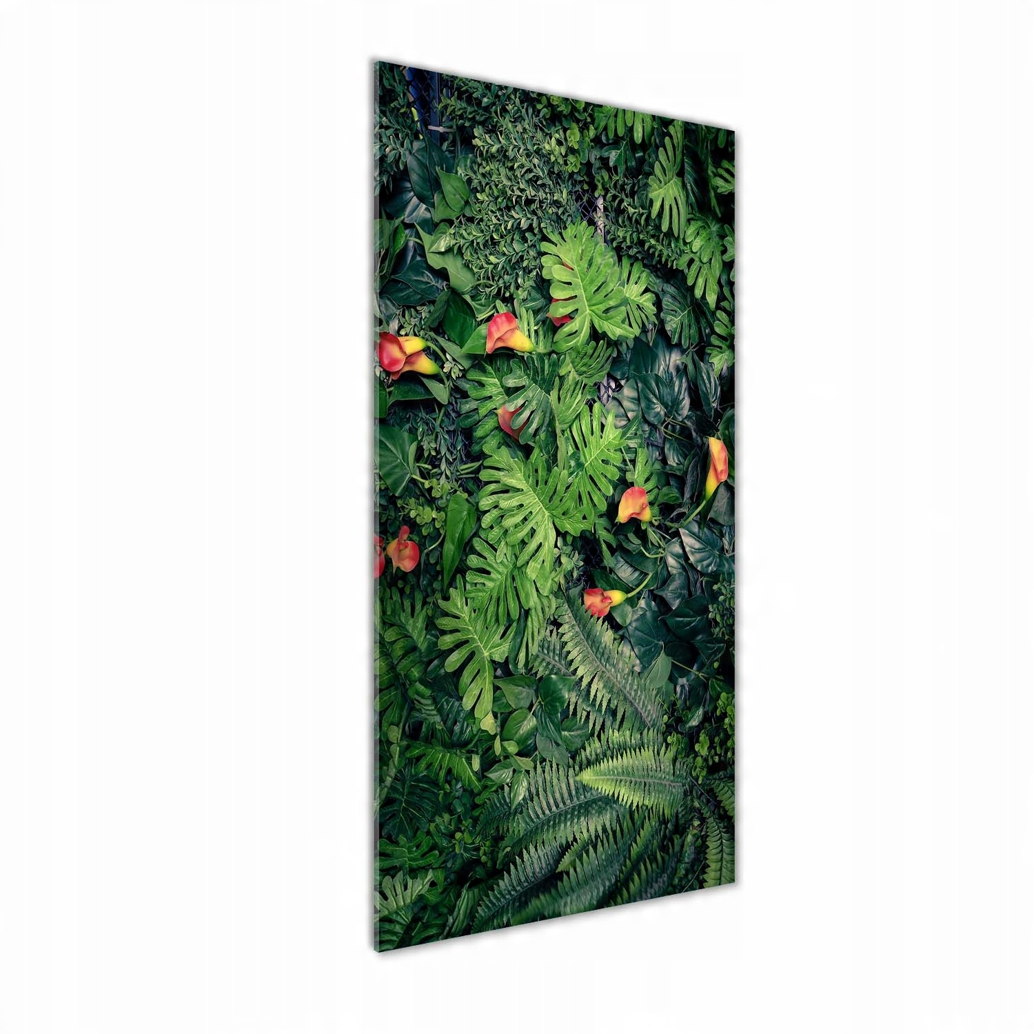 

Foto obraz akrylowy Tropikalne rośliny 50x125 cm