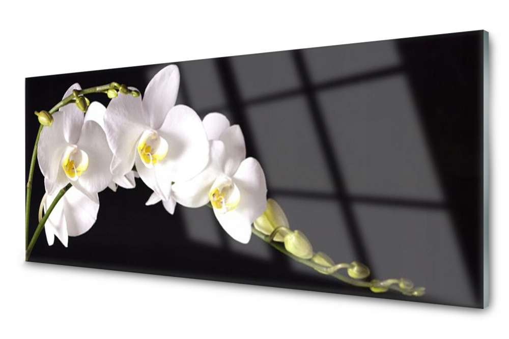 

Panel szklany do kuchni Kwiaty Roślina 125x50
