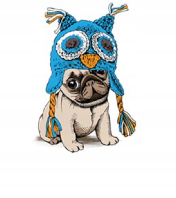 TERMO NAKLEJKA APLIKACJA NAPRASOWANKA BULLDOG F2