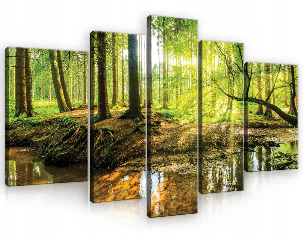 Obraz Na Plátně Canvas 170x100 Les Stromy Slunce