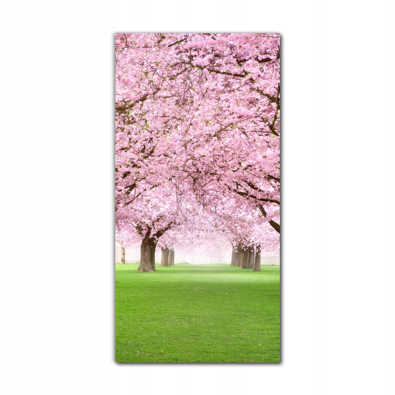 

Foto-obraz ścienny grafika 70x140 Wiśnia kwiatki