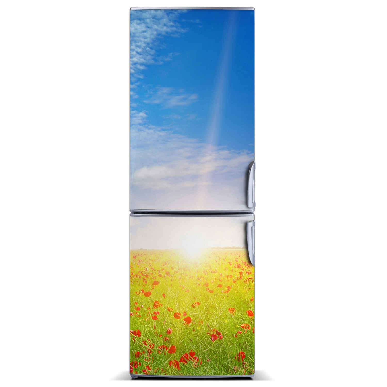 

Naklejka na lodówkę magnetyczna Pole maków 60x180