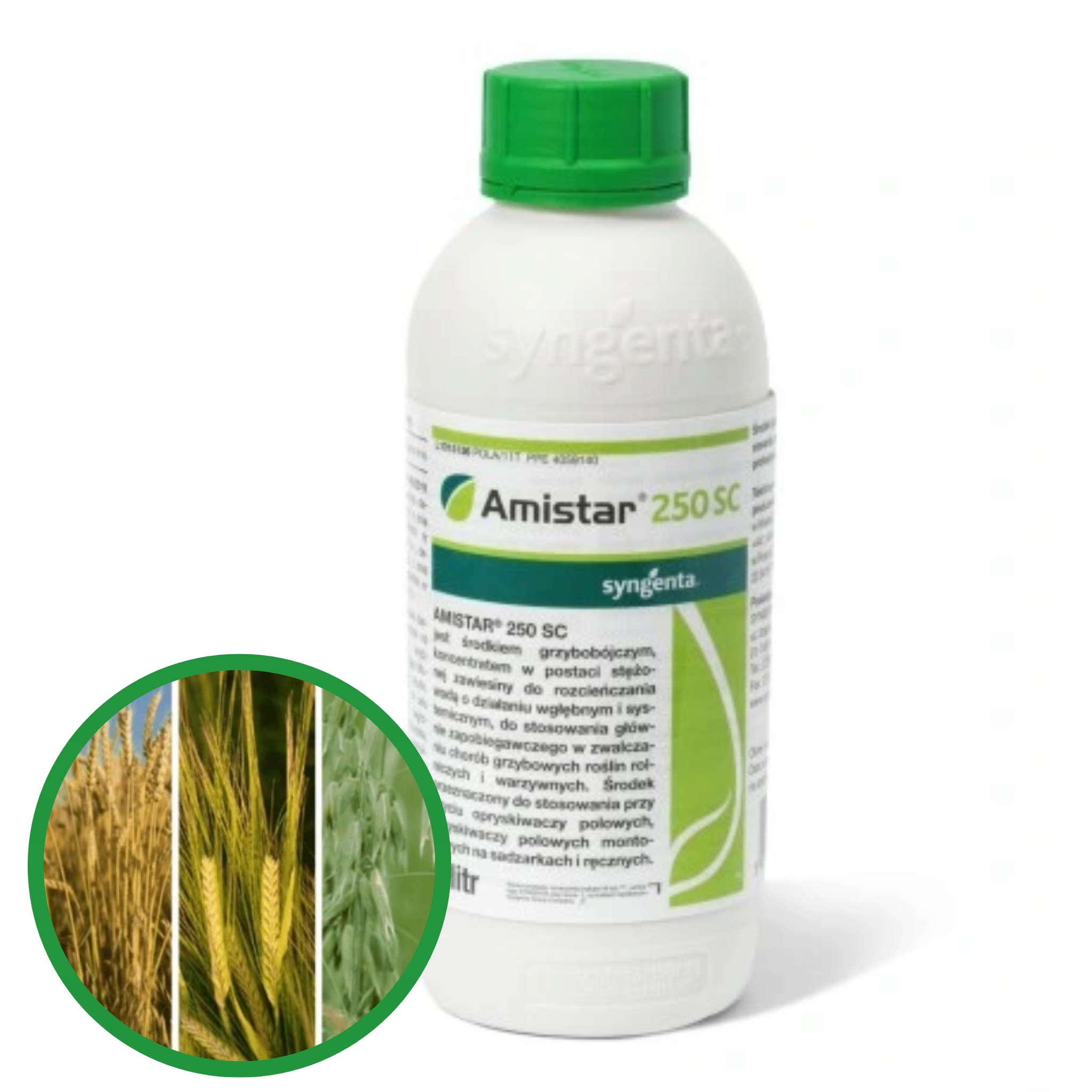 Amistar 250 Sc 1L Syngenta Wpływa na zahamowanie kiełkowania zarodników