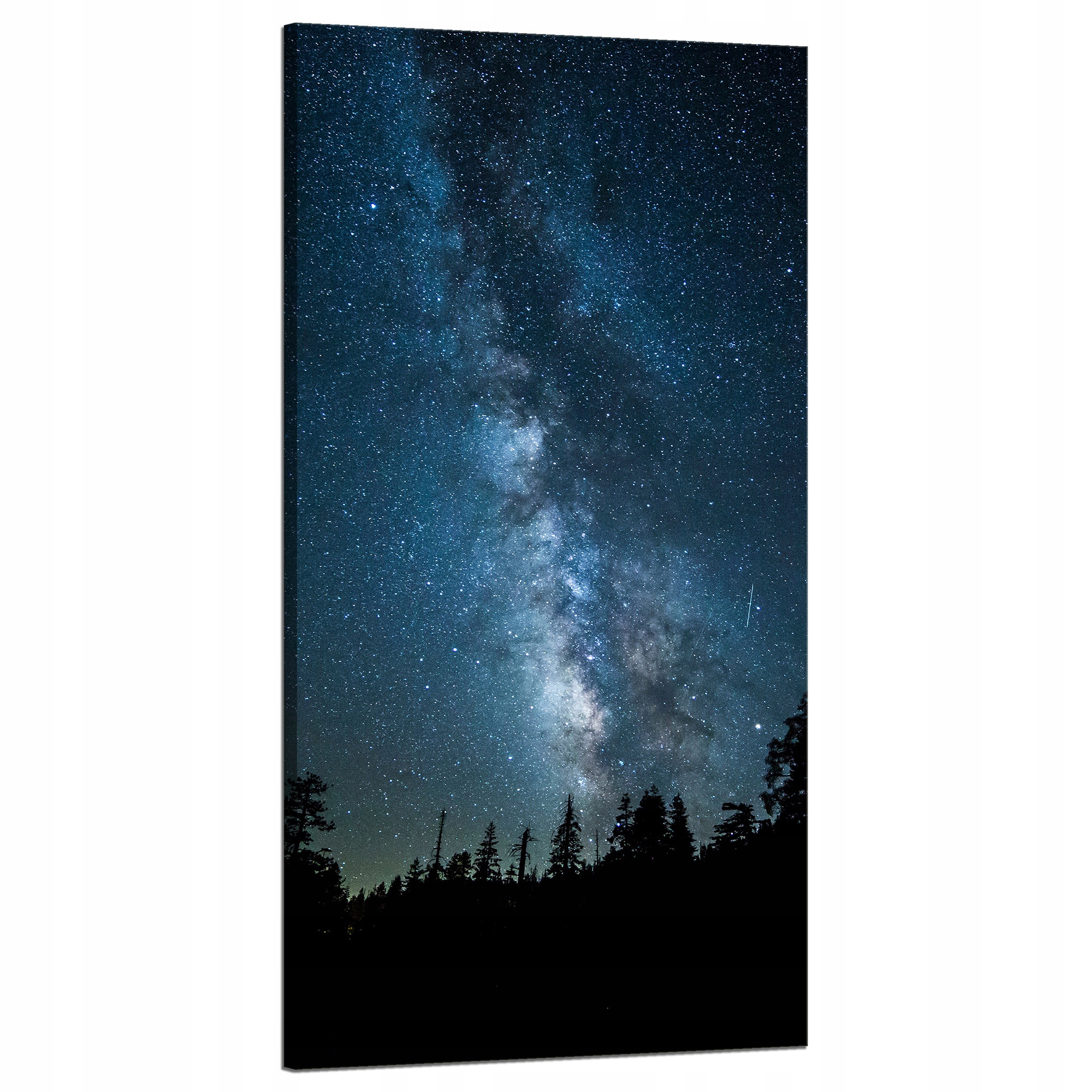 Obraz na plátně Vesmír Noc Les Mlhovina nebe Astronomie 60x120