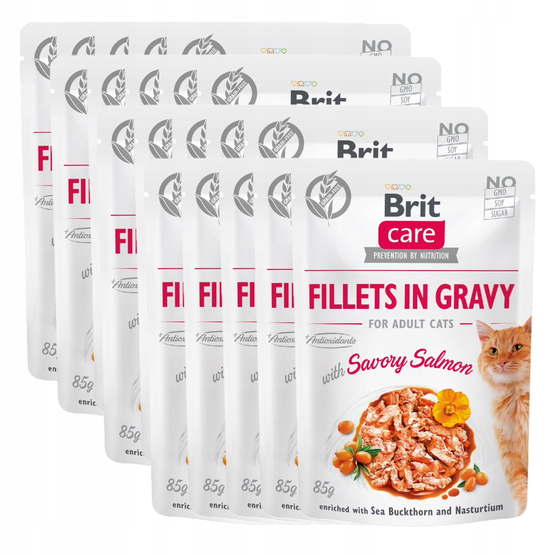 Levně Brit Care Cat Fillets In Gravy Savory Salmon 20 balení 20x85g